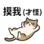 855733667