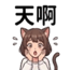 855733893