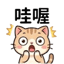 855733977