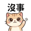 855733981
