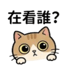 855734035
