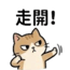 855734045