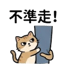 855734054