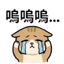 855734058