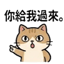 855734067