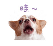 855737082