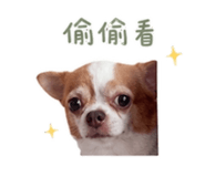855737083