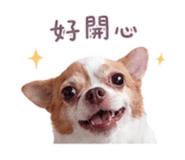 855737085