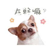 855737088