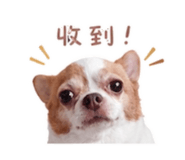 855737090