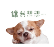 855737092
