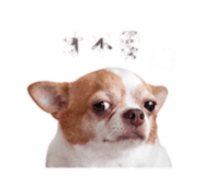 855737093