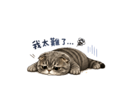 855738989