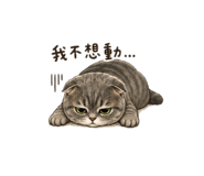 855738994