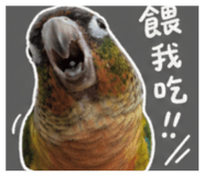 855739340