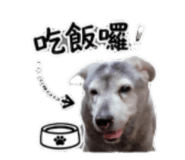 855739659