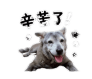 855739661
