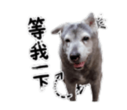 855739666
