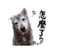 855739668