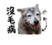 855739687