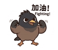 855741567
