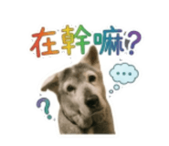 855741758