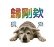 855741769