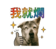 855741770
