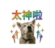 855741771