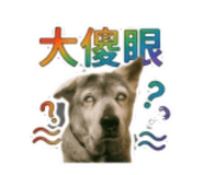 855741774