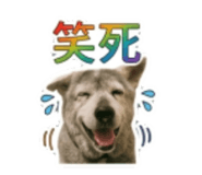 855741775