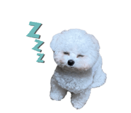 855742004
