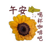 855742994