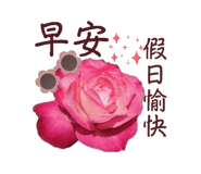 855743008