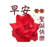 855743016