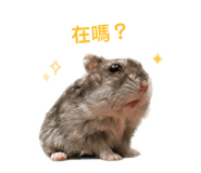 855745689