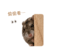855745703