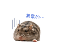855745838