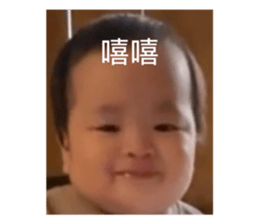855746525