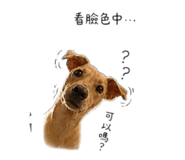 855747451