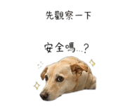 855747453