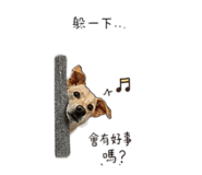855747454