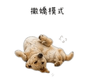 855747465