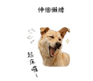 855747470