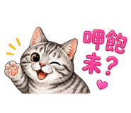 855747556