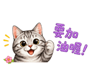 855747558