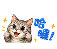 855747564