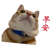 855749009