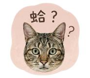 855750775