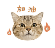 855751356